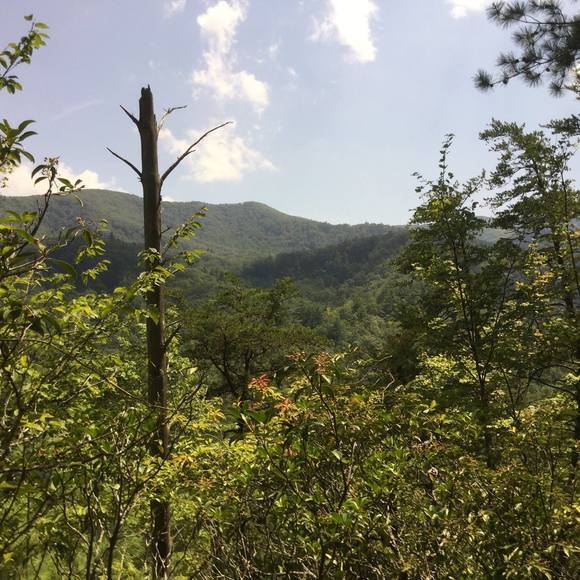 Meet your Posher, John - Picture 1 of 1